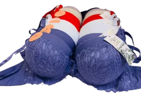 Ladies fancy bra Imported Bra in Pakistan branded bras Fancy Bra for Ladies online bra shopping